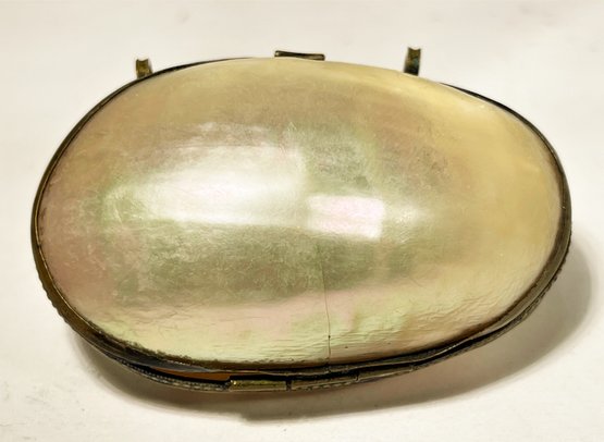 Victorian Brass Collared Shell Purse (has Minor Crack In One Panel)