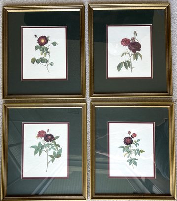 Set Of Four Rose Prints