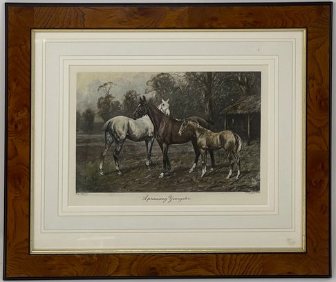 After George Wright A Promising Youngster Colored Etching E. W. Savory Ltd, Bristol Publisher