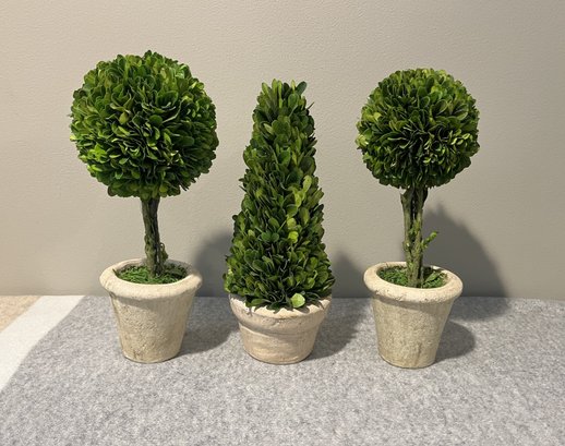 Set Of 3 Faux Boxwood Topiary Plants In Aged Terracotta-Style Pots