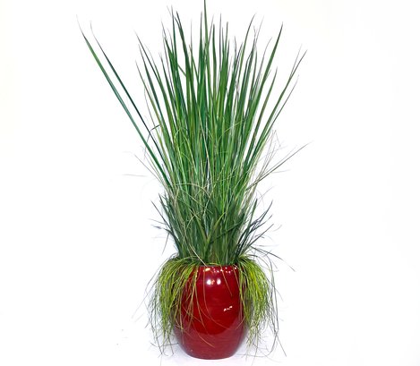 An Enormous Faux Yucca And Grass Plants In Cast Planter By Lillian August