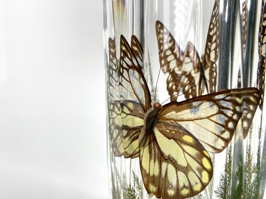 Thick Acrylic By UNIQUE Canada Hexagonal Butterfly Motif Vase