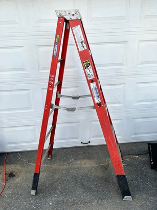 Warner 6 Ft Step Ladder