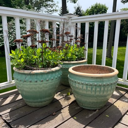 A Collection Of 3 Glazed Ceramic Planters With Sedum