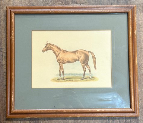 Signed Framed Horse Print
