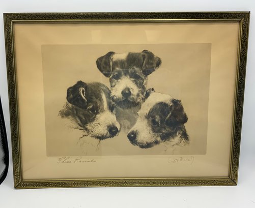 Vintage Kurt Meyer Eberhardt Fox Terrier Portrait ~  Three Rascals ~
