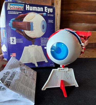 Vintage Human Eye Model Kit