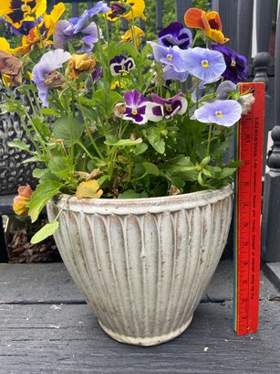 Rustic White Ceramic Planter 8' With Pansy Flowers