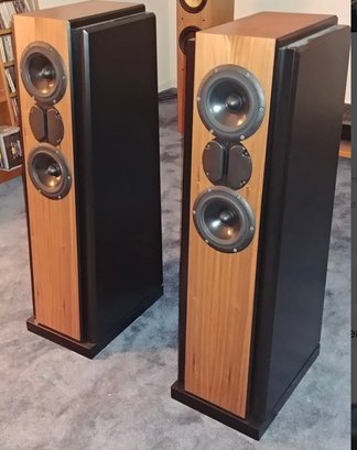 Pair Decware MG944 Speakers
