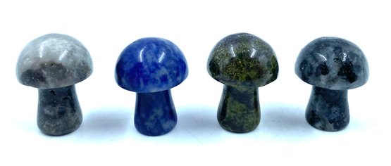 4 Diminutive Cool Tone Color Palette Of Natural Stone Mushrooms