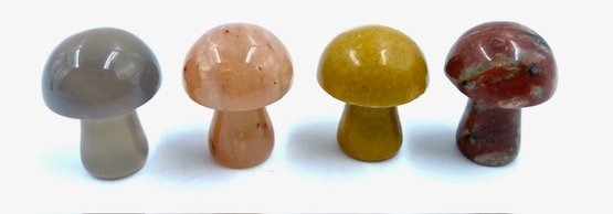 4 Diminutive Warm Tone Color Palette Of Natural Stone Mushrooms