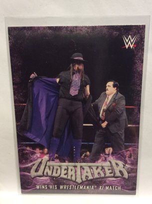 2017 Topps WWE Undertaker Insert Card - M