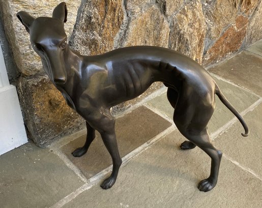 Bronze Greyhound Dog Sculpture Life Size 32'w X 30'h