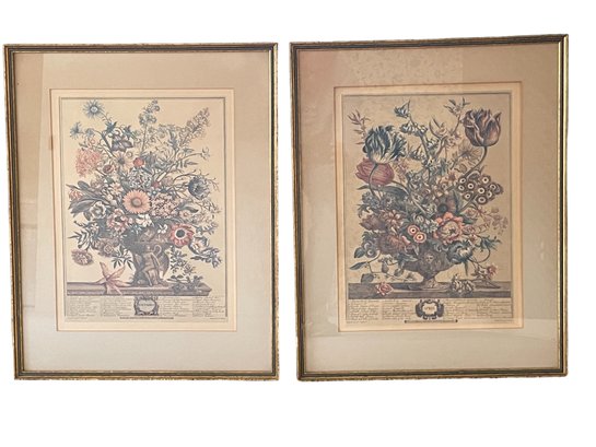 Pair Of Vintage Botanical Prints.