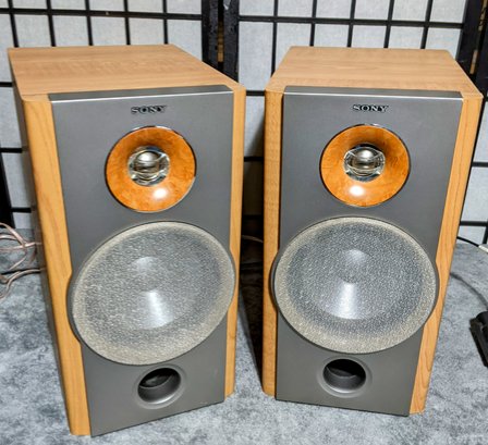 Pair Of Sony SS - EC69i Speakers Tested