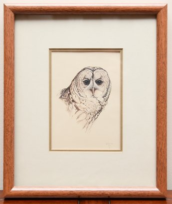 Beautiful Colored Pencil Drawing Of Barred Owl, Signed By Artist
