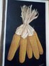 5 Beautiful Prints Of Vegetables 4 By Artist Arnie Fisk & 1 Ears Of Corn By Boettcher, Dept Of Agriculture WA