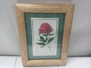 Two Lovely Prints One Of A Flower Arrangements An One Of A Peony   WA