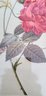 Vintage Framed Botanical Print Of A Rose