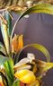 Vintage Tole Painted Metal 6 Arm Tulip Chandelier