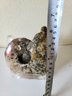 Ammonite Fossil Shell With Stand