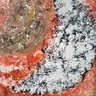 Original Textured Abstract Oil On Canvas