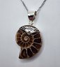 Ammonite Pendant Necklace In Sterling Silver