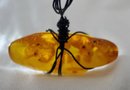 Authentic Baltic Amber 1 3/8' Pendant With A 16 -18' Rope Necklace