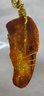 Authentic Baltic Amber 1 1/2' Pendant With An 18' Gold Plated Chain