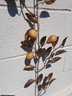 Mid Century Modern  Italian Metal Wall Sculpture- Blossoming Fruit And Foliage