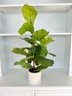 Potted Green Artificial Fiddle Leaf Fig In A White Pottery Container