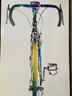 Roadster Thelma Parsons Poster Bicycle 17x39 Framed Glass