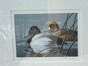 Neal R Anderson Federal Duck Stamp, 1989-1990, Limited Edition