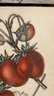 A Vintage Well Framed   Hand Colored Botanical Litho  Of Strawberries ' Fraises ' By G. Severeyns