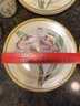 American Atelier Botanical Stoneware 6 Cups 4x3' And 8 Plates 8.25' Floral Design Iris, Orchids And Tulip,