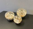 A Set Of Three Seashell  Paper Weight By Torre  & Tagus Collection