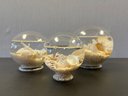 A Set Of Three Seashell  Paper Weight By Torre  & Tagus Collection