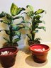 Pair Of Realistic Faux Greenery Plants