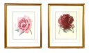 Pair Sweet Framed Botanical Prints  (LOC: S1)