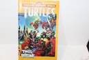 1991-1994 Teenage Mutant Ninja Turtles From Mirage (7)