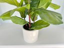 Potted Green Artificial Fiddle Leaf Fig In A White Pottery Container