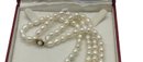 Fine Double Strand Of Pearls With 18K Gold Clasp