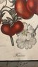 A Vintage Well Framed   Hand Colored Botanical Litho  Of Strawberries ' Fraises ' By G. Severeyns