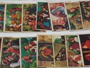 1956-57 Davy Crockett & Robin Hood Trading Cards  50 Cards Total