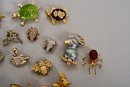 Collection Of Animal Themed Pins - Turtles, Frogs, Spider, Owl And More