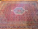 Persian Hand Knotted Carpet In Deep Warm Reds