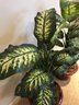 Pair Of Realistic Faux Greenery Plants