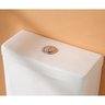 One Piece Dual Flush Toilet (NIB)