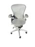 Herman Miller PostureFit Aeron  Chair In Platinum