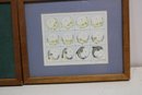 Three Framed 'transformation' Drawings By C. Halsey
